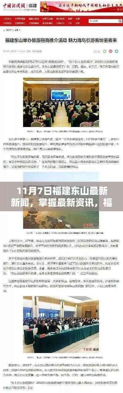 福建东山11月7日新闻全览,最新资讯一网打尽