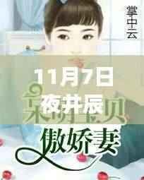 揭秘井辰唐心瑶最新章节,情感与命运的交织之夜(专刊)