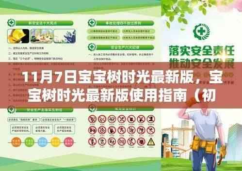 宝宝树时光最新版使用指南，初学者与进阶用户适用，11月7日更新详解