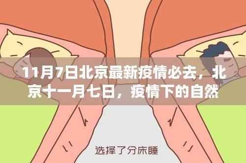 北京疫情下的自然秘境探索之旅,寻找内心的宁静港湾(11月7日最新疫情必去)
