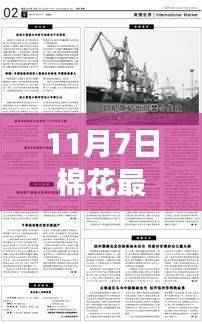 深度解读与全方位评估,11月7日棉花最新政策解析与影响展望