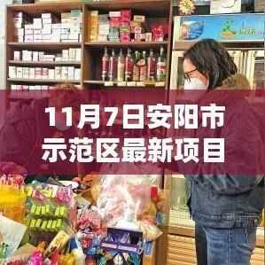 安阳市示范区新项目探索,小巷独特小店揭秘