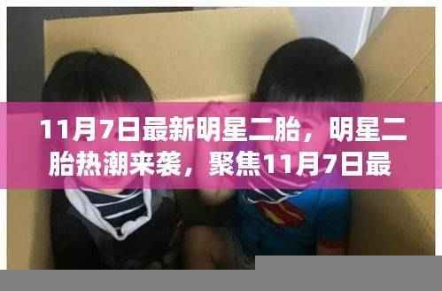 明星二胎热潮持续升温，11月7日最新动态聚焦