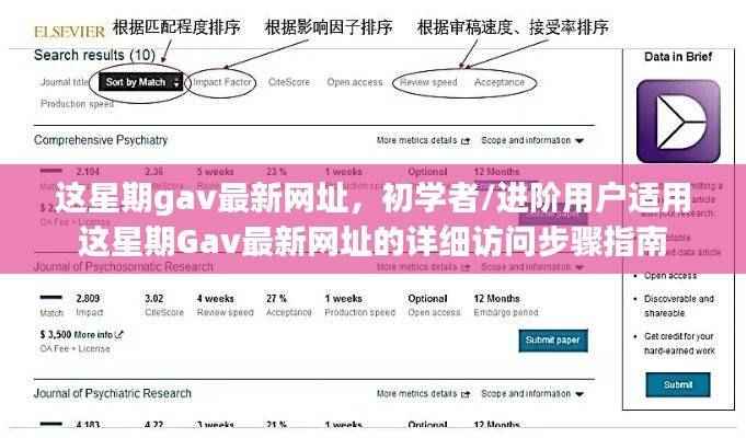Gav最新网址访问指南,适合初学者与进阶用户的详细步骤指南