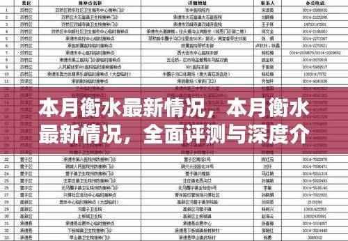 本月衡水最新动态,全面评测与深度介绍