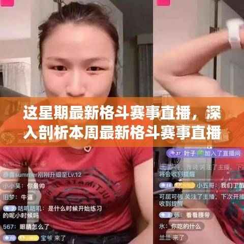 某某视角下的深度观察,本周最新格斗赛事直播解析与感悟