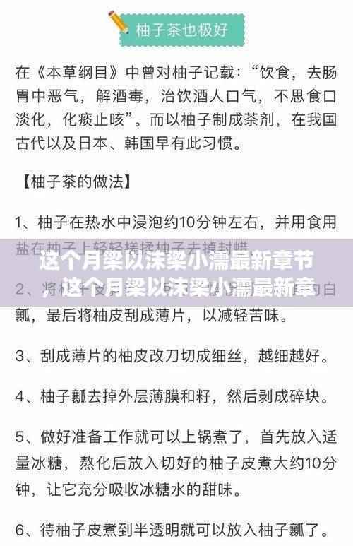 这个月梁以沫梁小濡最新章节，深度解析与书评
