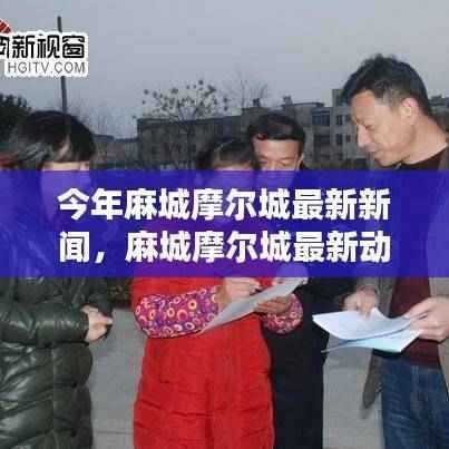 麻城摩尔城最新动态揭秘，特性、体验与目标用户群体的深度探究新闻评测