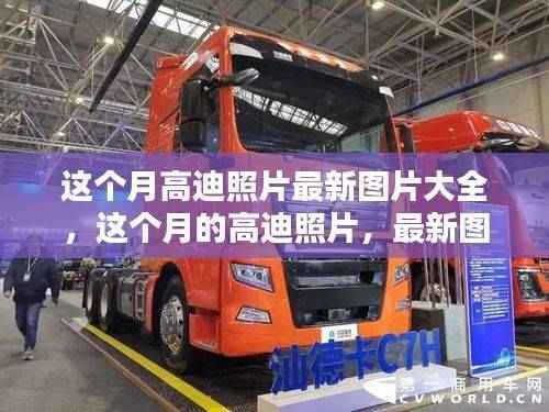 高迪照片最新图片大全与独家案例分析，本月精选图片集