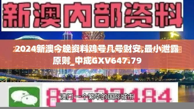 2024新澳今晚资料鸡号几号财安,最小泄露原则_中成GXV647.79