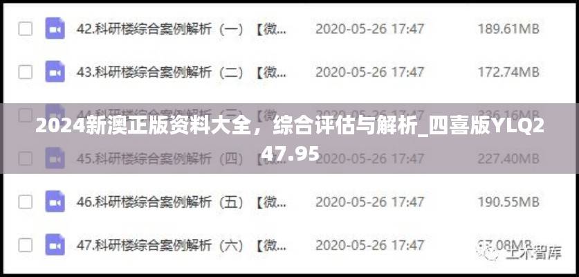 2024新澳正版资料大全,综合评估与解析_四喜版YLQ247.95