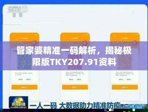 管家婆精准一码解析,揭秘极限版TKY207.91资料