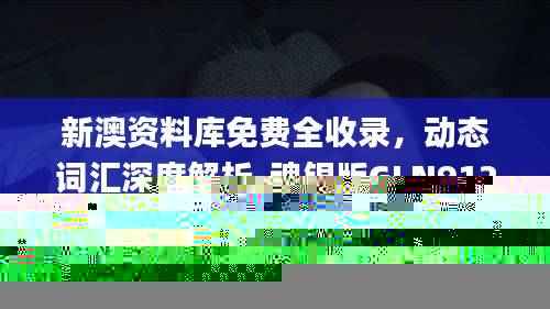 新澳资料库免费全收录，动态词汇深度解析_魂银版GLN912.84