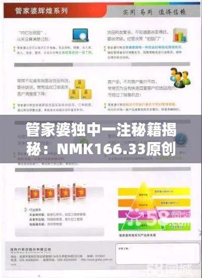 管家婆独中一注秘籍揭秘:NMK166.33原创数据详析