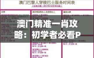 澳门精准一肖攻略：初学者必看PHB474.22策略解析