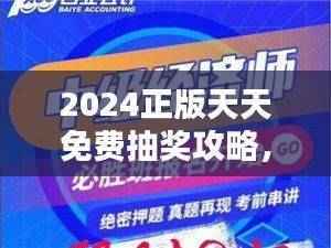 2024正版天天免费抽奖攻略，经济版DFA675.45深度解析