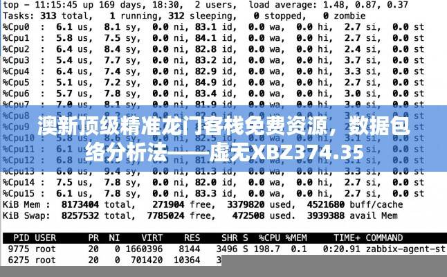 澳新顶级精准龙门客栈免费资源，数据包络分析法——虚无XBZ374.35