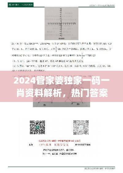 2024管家婆独家一码一肖资料解析,热门答案详解_旗舰版QMU541.4