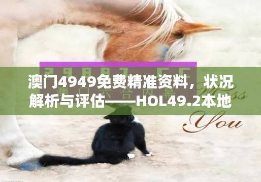 澳门4949免费精准资料,状况解析与评估——HOL49.2本地版