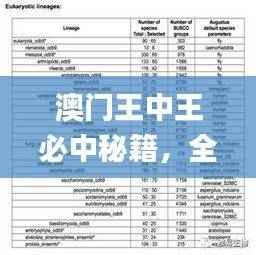 澳门王中王必中秘籍,全面解读评估_精华版MNC973.38