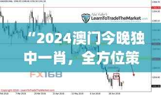 “2024澳门今晚独中一肖,全方位策略解析_揭秘版PQC245.37”