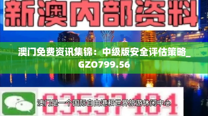 澳门免费资讯集锦:中级版安全评估策略_GZO799.56