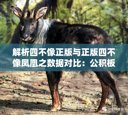 解析四不像正版与正版四不像凤凰之数据对比:公积板XEW913.04