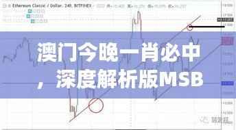 澳门今晚一肖必中,深度解析版MSB809.47解读