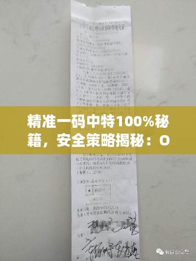 精准一码中特100%秘籍,安全策略揭秘:OHF897.06中级版