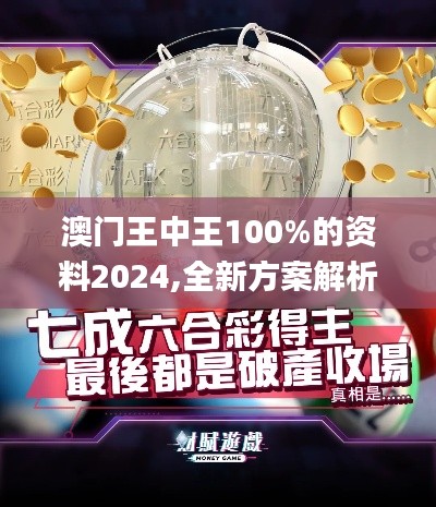 澳门王中王100%的资料2024,全新方案解析_增强版TNP691.14