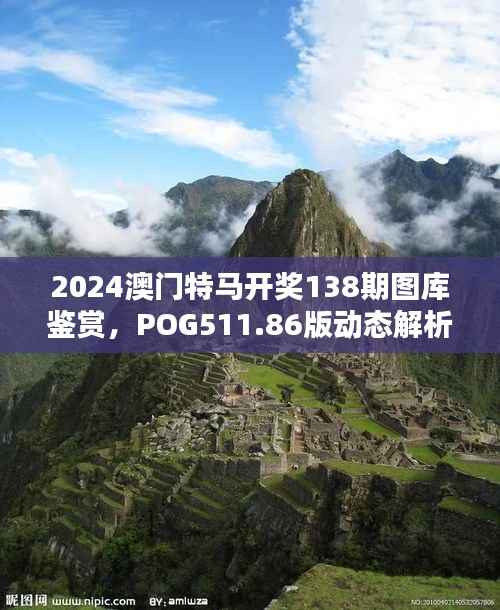 2024澳门特马开奖138期图库鉴赏，POG511.86版动态解析
