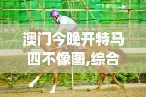 澳门今晚开特马四不像图,综合计划赏析_加强版PHS59.25