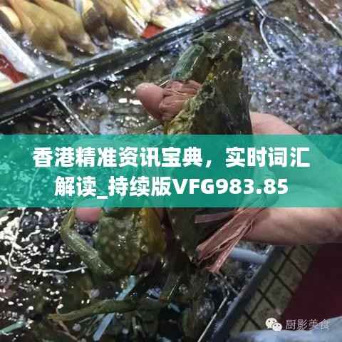 香港精准资讯宝典,实时词汇解读_持续版VFG983.85
