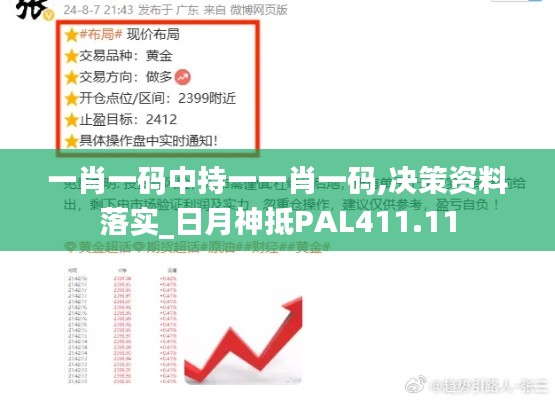 一肖一码中持一一肖一码,决策资料落实_日月神抵PAL411.11