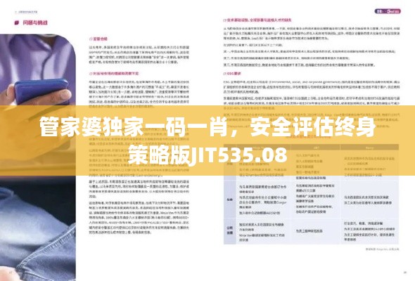 管家婆独家一码一肖,安全评估终身策略版JIT535.08