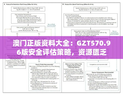 澳门正版资料大全:GZT570.96版安全评估策略,资源匮乏