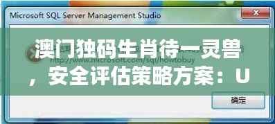 澳门独码生肖待一灵兽,安全评估策略方案:UMK349.07预测版