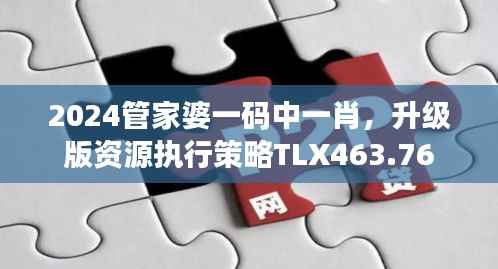 2024管家婆一码中一肖,升级版资源执行策略TLX463.76