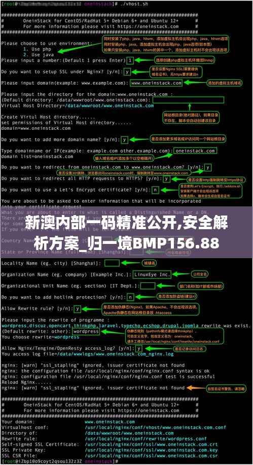 新澳内部一码精准公开,安全解析方案_归一境BMP156.88