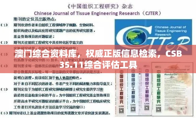澳门综合资料库,权威正版信息检索,CSB35.11综合评估工具