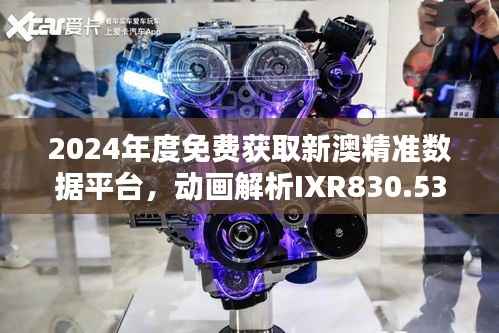 2024年度免费获取新澳精准数据平台,动画解析IXR830.53专业操作指南