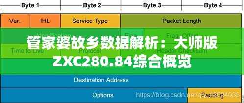 管家婆故乡数据解析：大师版ZXC280.84综合概览