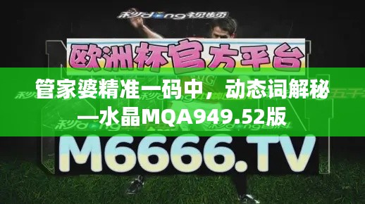 管家婆精准一码中,动态词解秘—水晶MQA949.52版