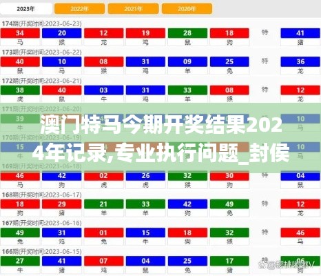 澳门特马今期开奖结果2024年记录,专业执行问题_封侯不朽IYX719.78