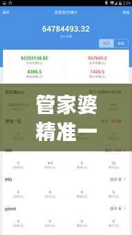 管家婆精准一码,正版解析解读——IES827.38可变版本