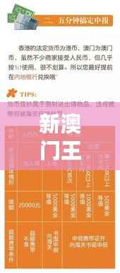 新澳门王中王必中秘籍解析:FVE513.98版深度研究