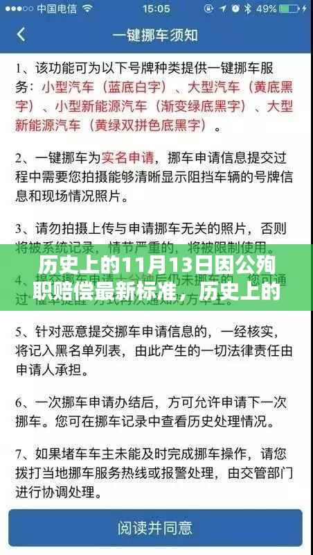 历史上的11月13日因公殉职赔偿最新标准解析与深度探讨