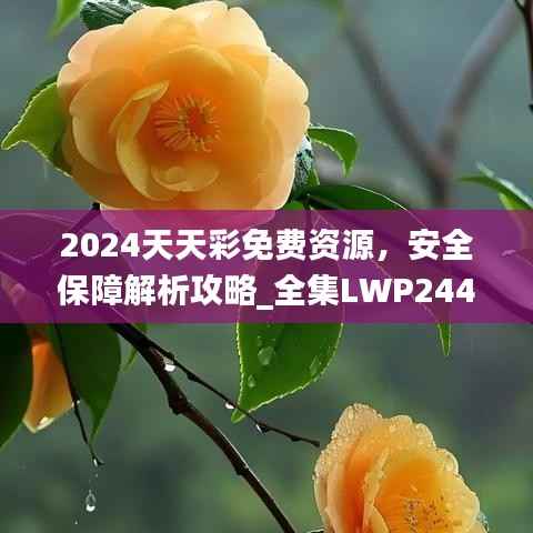 2024天天彩免费资源,安全保障解析攻略_全集LWP244.31