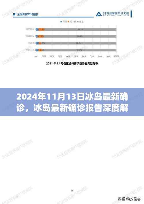 冰岛最新确诊报告深度解析,特性、体验、竞品对比及用户群体分析(冰岛最新确诊报告详探)