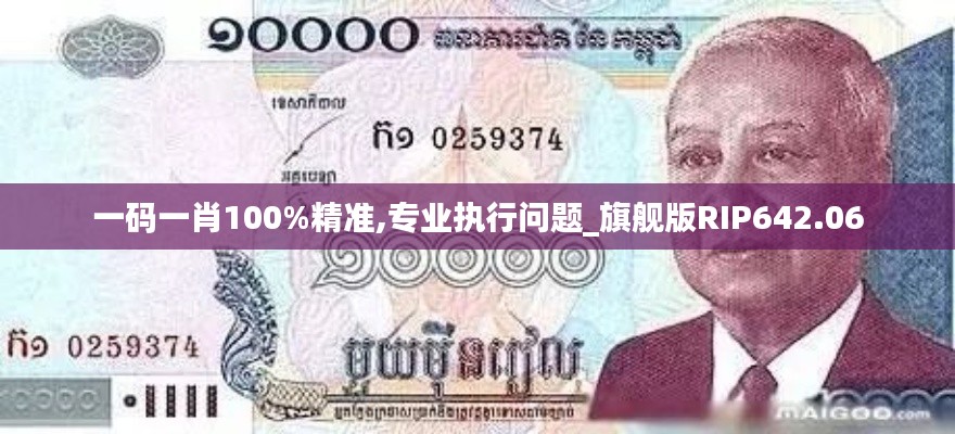 一码一肖100%精准,专业执行问题_旗舰版RIP642.06